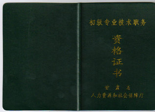 �Q  ����(�������̎�)